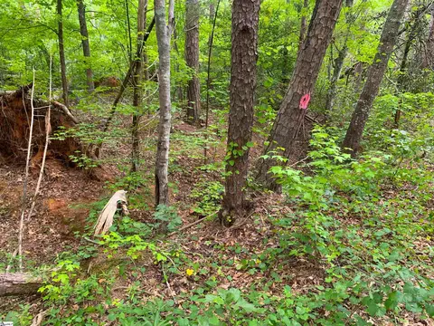 341 E Church Rd, Easley, SC 29642 photo 10