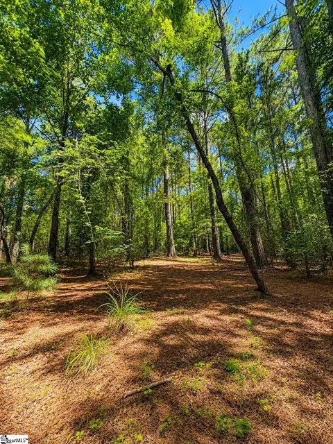 0 Circle Rd, Easley, SC 29642 photo 12