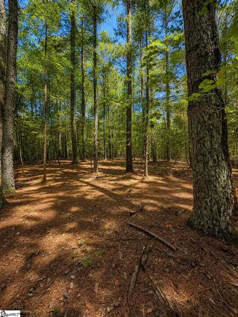 0 Circle Rd, Easley, SC 29642 photo 6
