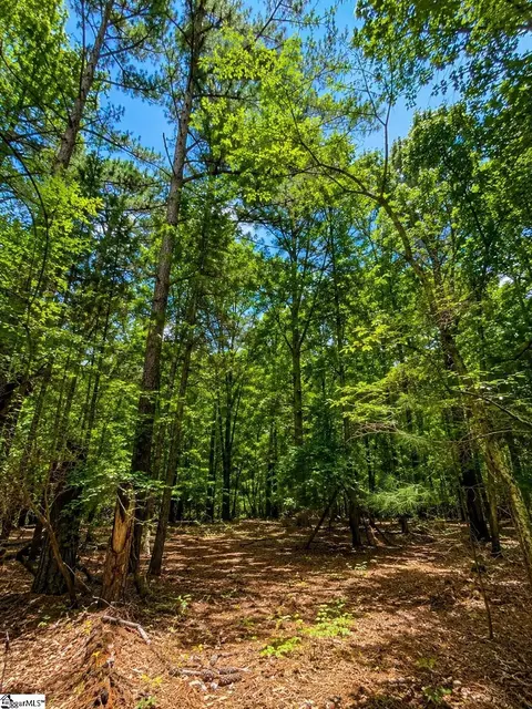 0 Circle Rd, Easley, SC 29642 photo 9