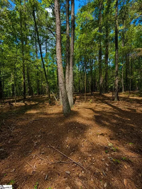 0 Circle Rd, Easley, SC 29642 photo 7