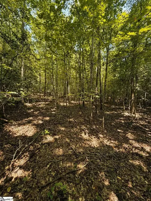 3 Circle Road, Easley, SC 29642 photo 3