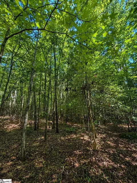 3 Circle Road, Easley, SC 29642 photo 7