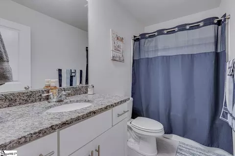 602 Carmelo Ct, Greer, SC 29650 photo 33