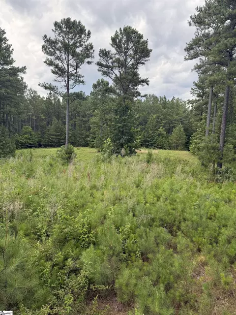 0 Walker Rd, Edgefield, SC 29824 photo 19