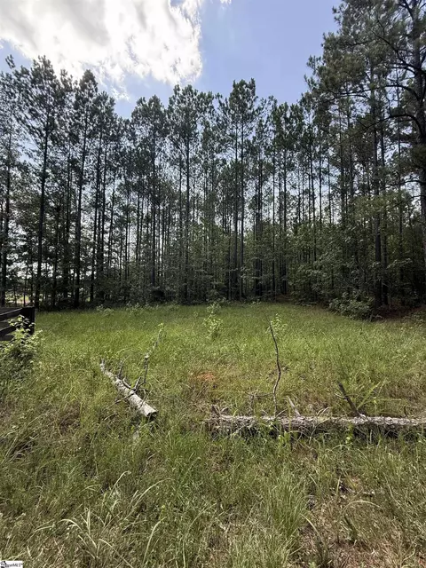 0 Walker Rd, Edgefield, SC 29824 photo 11