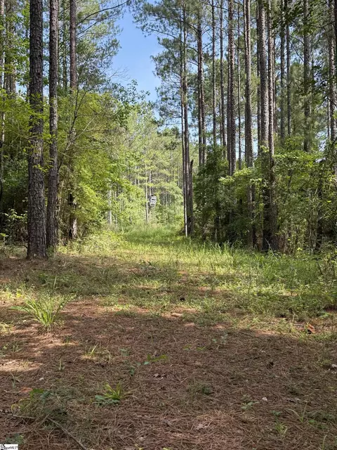0 Walker Rd, Edgefield, SC 29824 photo 17
