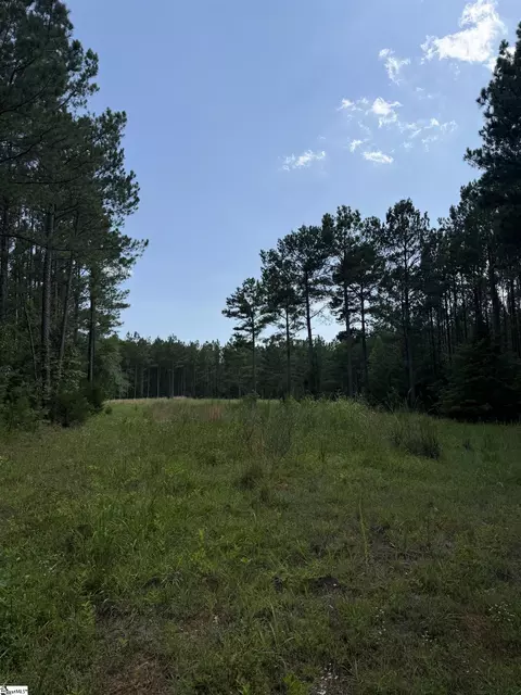 0 Walker Rd, Edgefield, SC 29824 photo 16