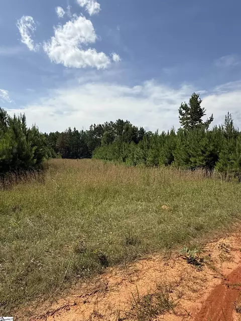 0 Walker Rd, Edgefield, SC 29824 photo 14