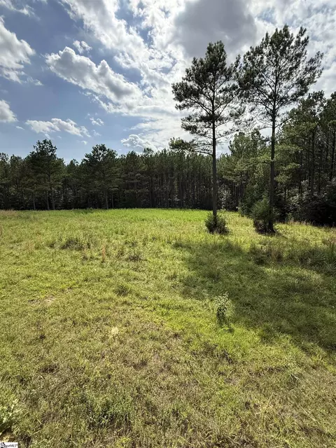 0 Walker Rd, Edgefield, SC 29824 photo 18