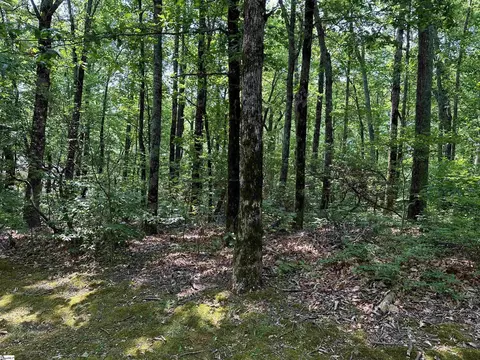 00 Lacey Fern Way, Landrum, SC 29356