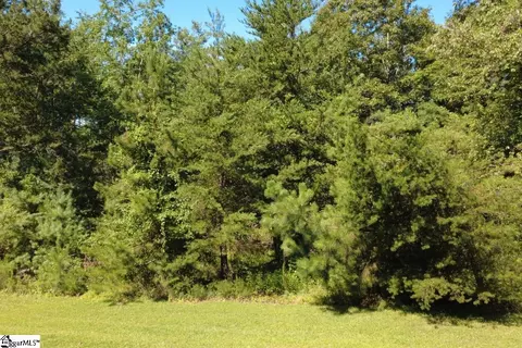 205 Vineyard Park, Sunset, SC 29685 photo 6