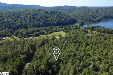 205 Vineyard Park, Sunset, SC 29685 photo 5