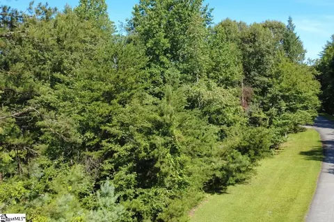 205 Vineyard Park, Sunset, SC 29685 photo 12