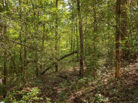 gibson road, Anderson, SC 29625 photo 13