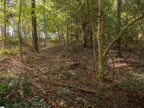 gibson road, Anderson, SC 29625 photo 12