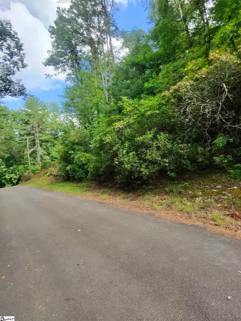 00 Silver Shoals Cir, Marietta, SC 29661