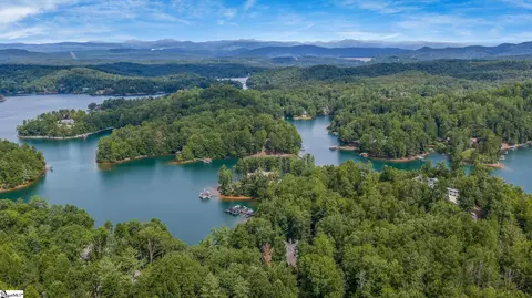 View/Area - 129 Burwood Ct, Sunset, SC 29685 photo 5 of 8