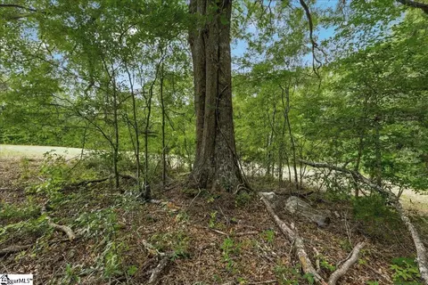 00 Old Pendleton Rd, Easley, SC 29642 photo 17
