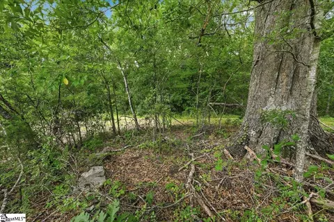 00 Old Pendleton Rd, Easley, SC 29642 photo 18