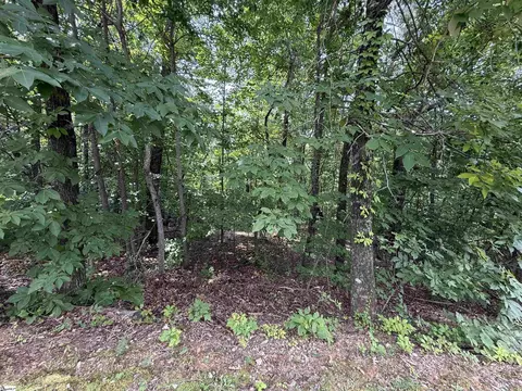 140 Crowne Hill Way, Marietta, SC 29661