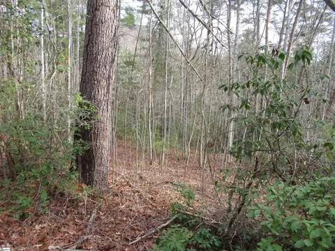 116 Fireside Ln, Pickens, SC 29671 photo 25