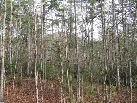 116 Fireside Ln, Pickens, SC 29671 photo 9