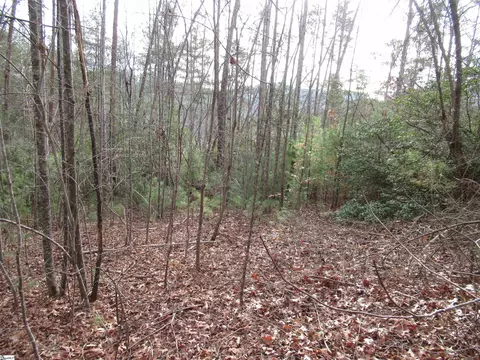 116 Fireside Ln, Pickens, SC 29671 photo 8