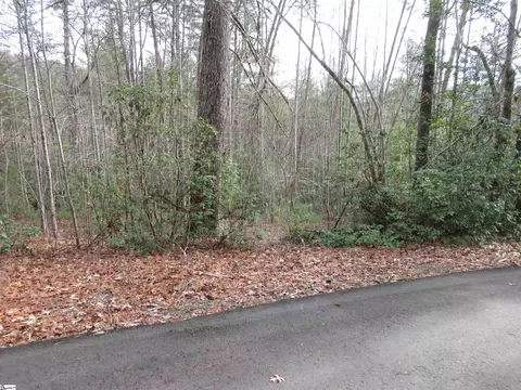 116 Fireside Ln, Pickens, SC 29671 photo 13