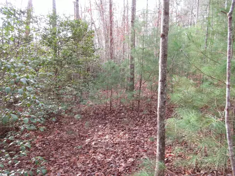 116 Fireside Ln, Pickens, SC 29671 photo 15