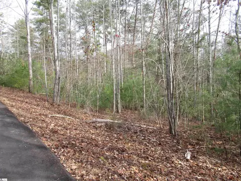 116 Fireside Ln, Pickens, SC 29671 photo 10