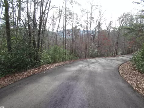 116 Fireside Ln, Pickens, SC 29671 photo 12