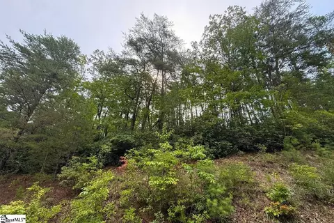 122 Teaberry Ln, Sunset, SC 29685 photo 13
