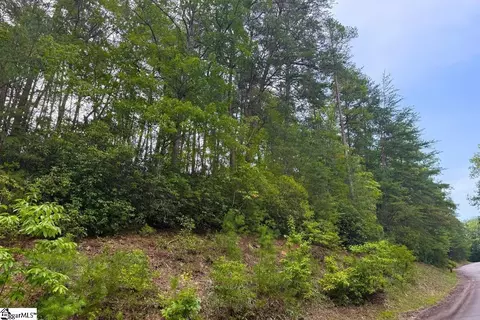 122 Teaberry Ln, Sunset, SC 29685 photo 11