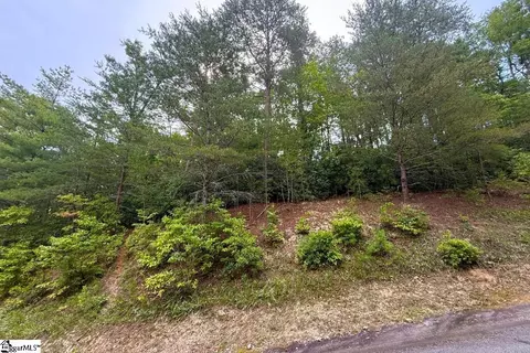 122 Teaberry Ln, Sunset, SC 29685 photo 12