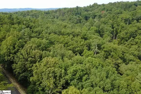 122 Teaberry Ln, Sunset, SC 29685 photo 15
