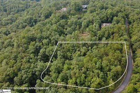 122 Teaberry Ln, Sunset, SC 29685 photo 8