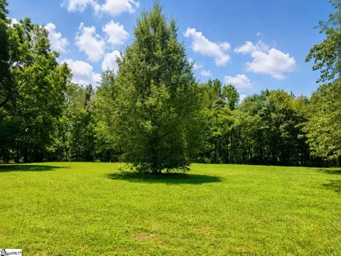 170 Cooper Rd, Campobello, SC 29322 photo 25