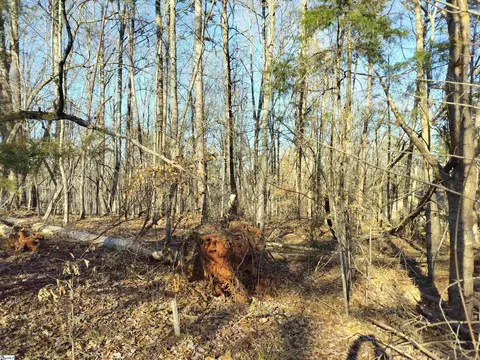 343 Beech Dr, Westminster, SC 29693 photo 3