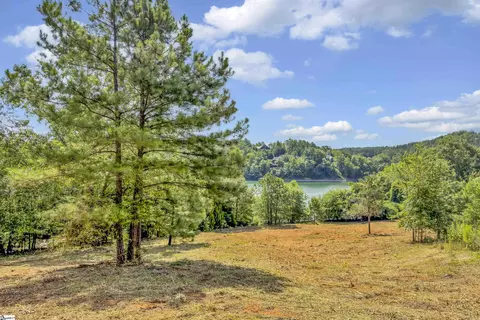 246 Long Ridge Rd, Sunset, SC 29685 photo 8