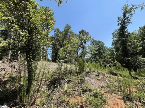 111 Sweetshrub Way, Sunset, SC 29685 photo 9