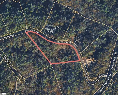 111 Sweetshrub Way, Sunset, SC 29685 photo 12