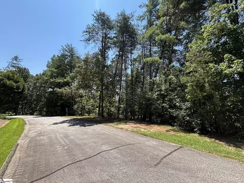 111 Sweetshrub Way, Sunset, SC 29685 photo 1