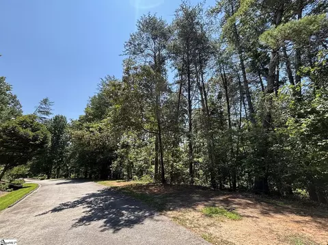 111 Sweetshrub Way, Sunset, SC 29685 photo 2