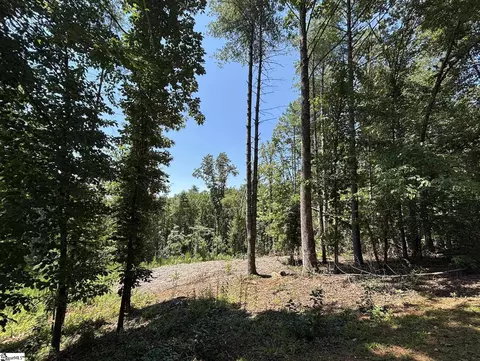 111 Sweetshrub Way, Sunset, SC 29685 photo 10