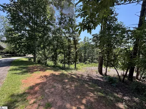 111 Sweetshrub Way, Sunset, SC 29685 photo 5