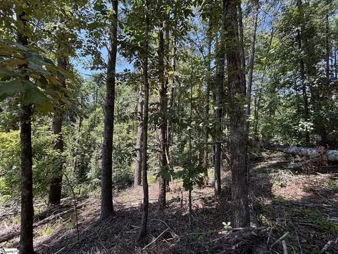 111 Sweetshrub Way, Sunset, SC 29685 photo 11