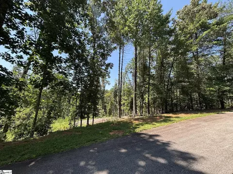 111 Sweetshrub Way, Sunset, SC 29685 photo 3