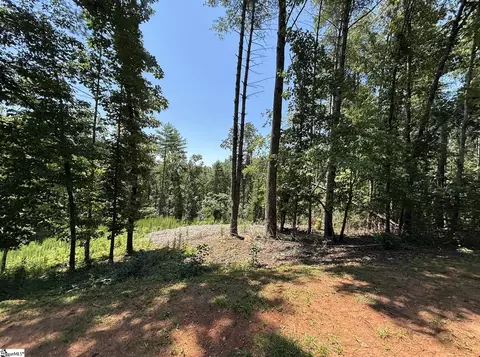 111 Sweetshrub Way, Sunset, SC 29685 photo 4