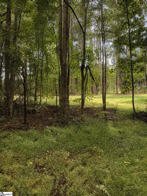 2 Old Mill Road, Easley, SC 29642 photo 9